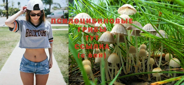 эйфоретик Богородск