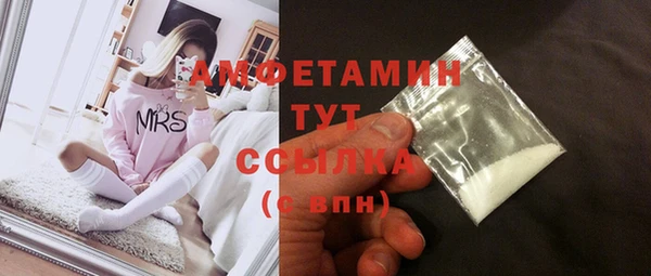 apvp Бородино