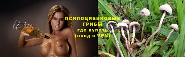 MDMA Premium VHQ Богородицк