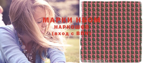 индика Богданович