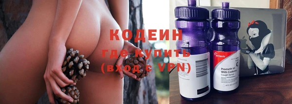 apvp Бородино