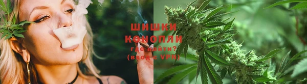 apvp Бородино