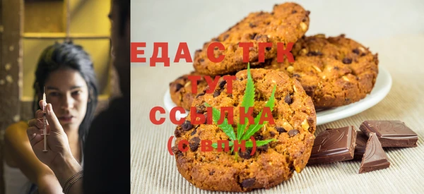 индика Богданович