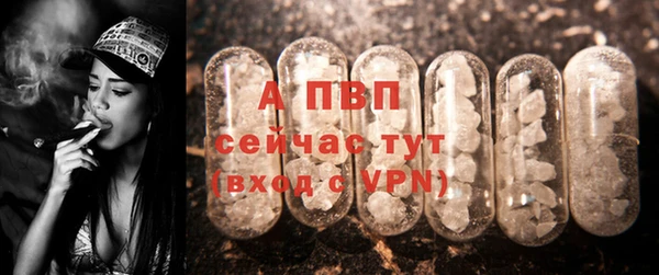 индика Богданович