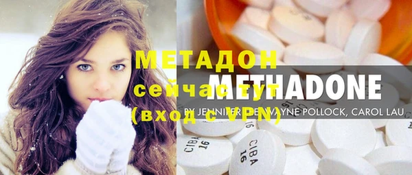 индика Богданович