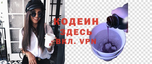 индика Богданович