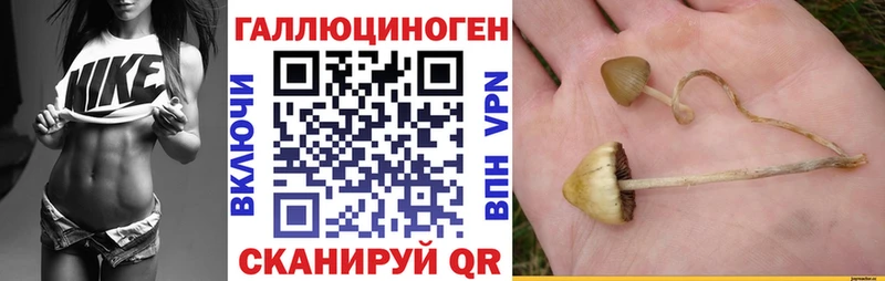 Галлюциногенные грибы прущие грибы Пикалёво